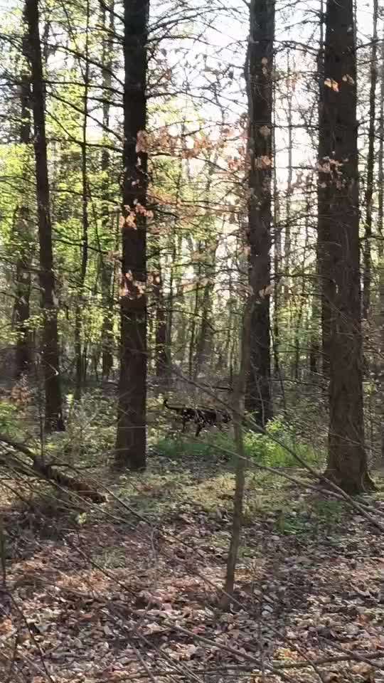 "Wege zur Freundschaft" (Ulli Reichmann)-Beitrag-Bild