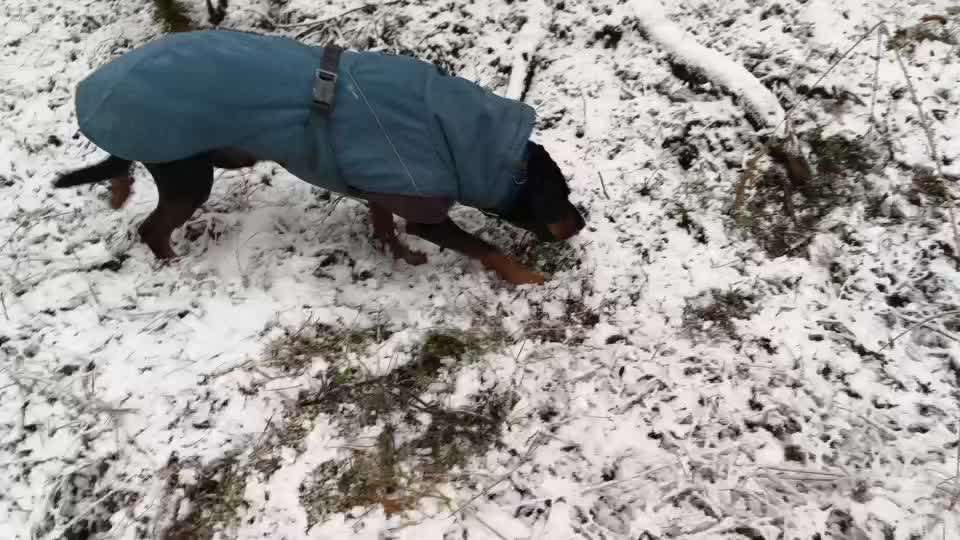 "Wege zur Freundschaft" (Ulli Reichmann)-Beitrag-Bild