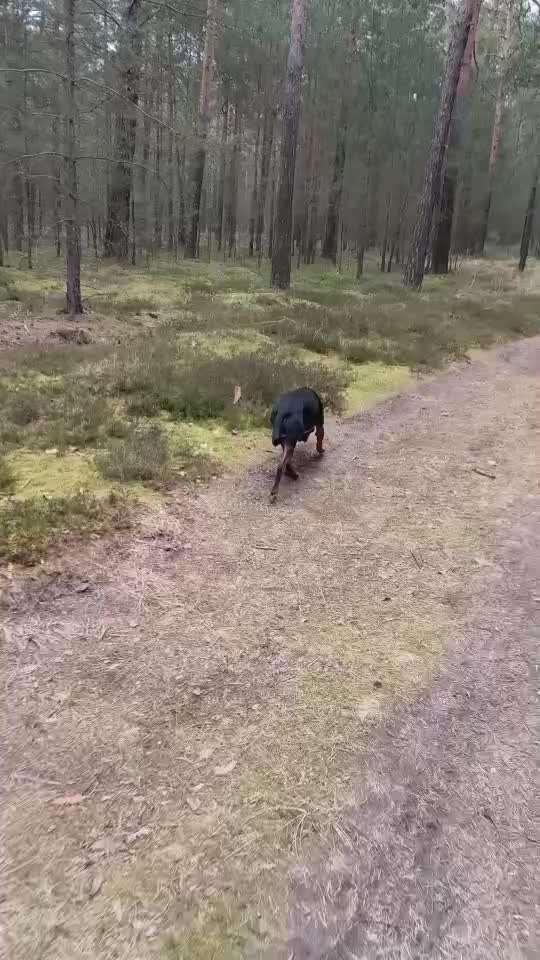 "Wege zur Freundschaft" (Ulli Reichmann)-Beitrag-Bild