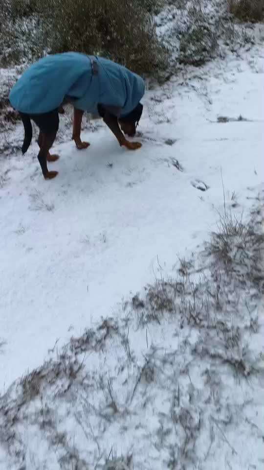 "Wege zur Freundschaft" (Ulli Reichmann)-Beitrag-Bild