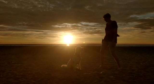 Trickdogging-Beitrag-Bild