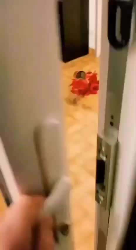 Hunde Memes-Beitrag-Bild