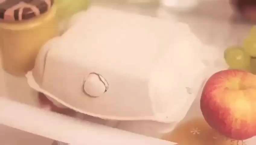 Hunde Memes-Beitrag-Bild