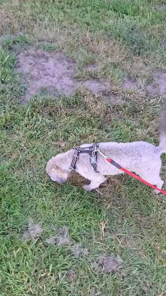 "Wege zur Freundschaft" (Ulli Reichmann)-Beitrag-Bild