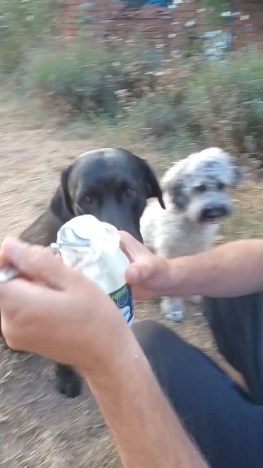 Video Challenge Nr. 4 - Lecker, Lecker-Beitrag-Bild