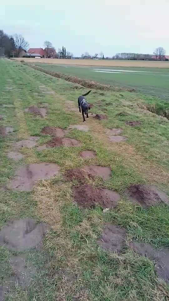 Wie sitzt mein Geschirr?-Beitrag-Bild