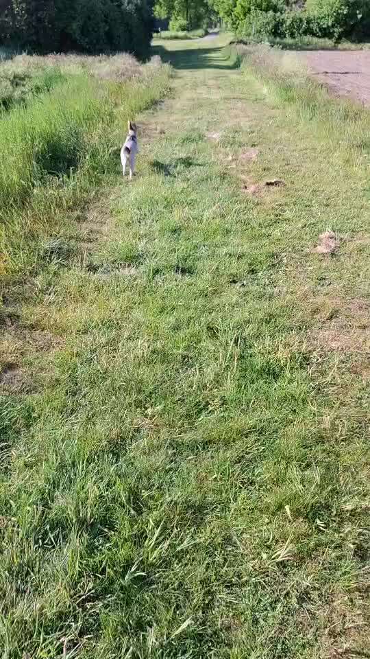 "Wege zur Freundschaft" (Ulli Reichmann)-Beitrag-Bild