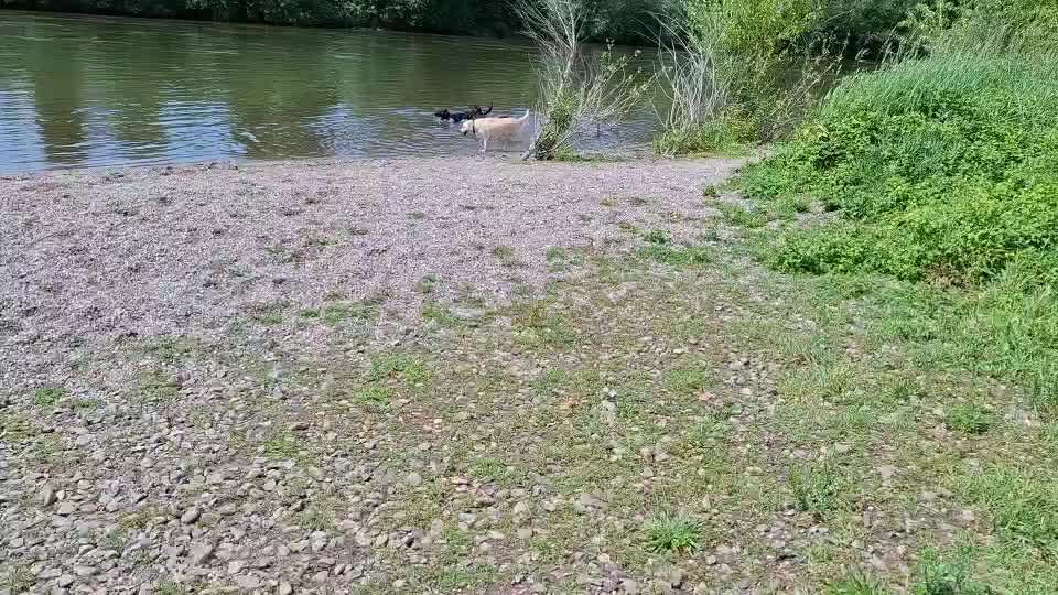 Analyse & Interpretation von Verhalten-Beitrag-Bild