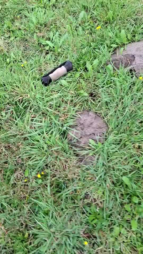 82. Trickspiel : Bleib!-Beitrag-Bild