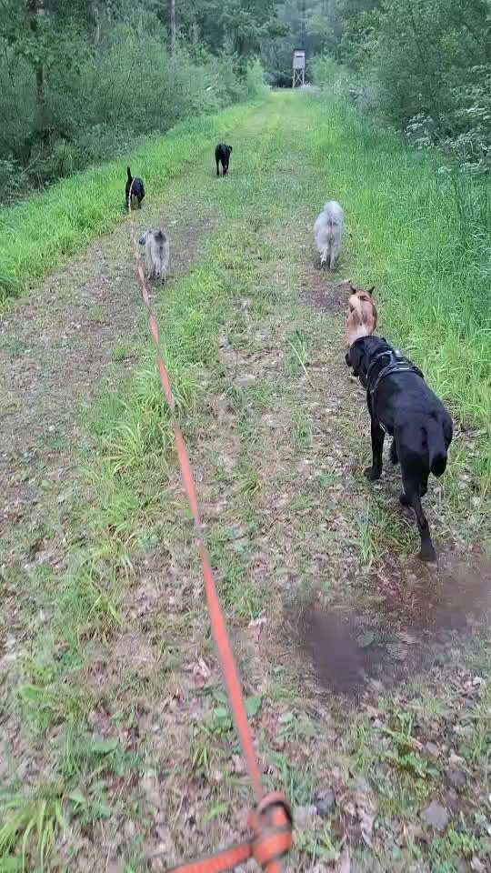 "Wege zur Freundschaft" (Ulli Reichmann)-Beitrag-Bild