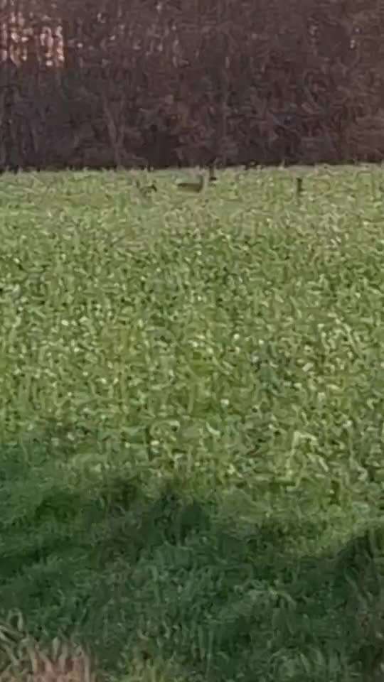 "Wege zur Freundschaft" (Ulli Reichmann)-Beitrag-Bild