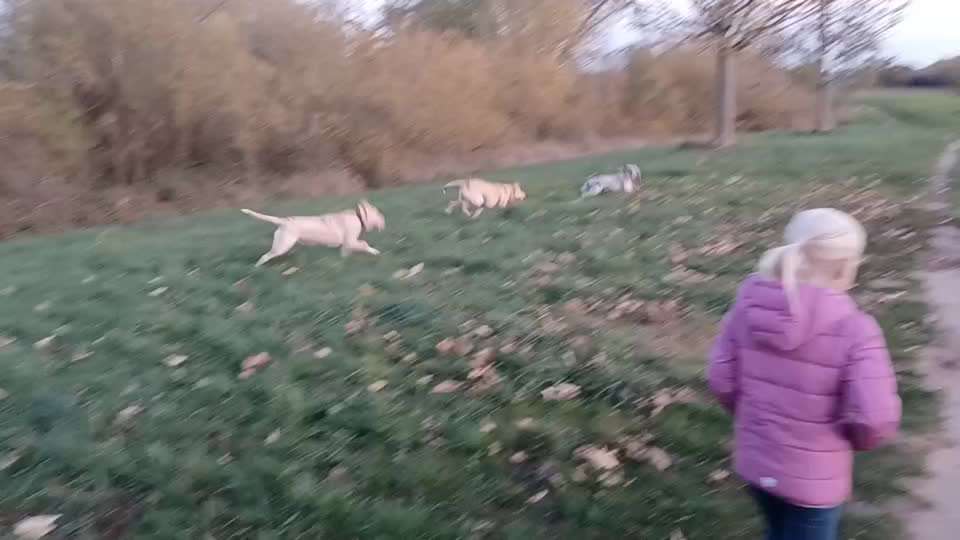 Handyvideochallenge Nr. 26 Gross und Klein-Beitrag-Bild