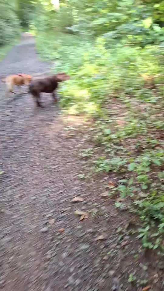 "Wege zur Freundschaft" (Ulli Reichmann)-Beitrag-Bild