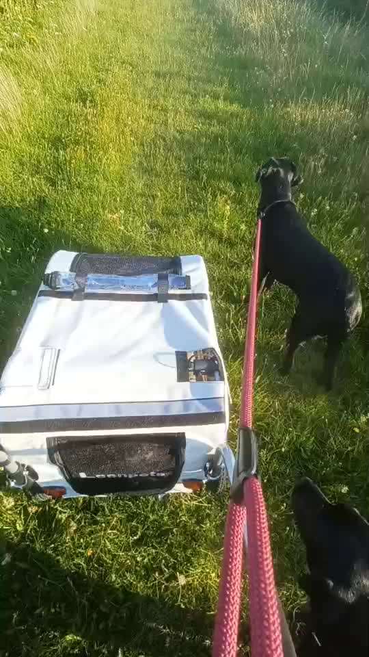 Fixateur extern - wie geht man damit um?-Beitrag-Bild