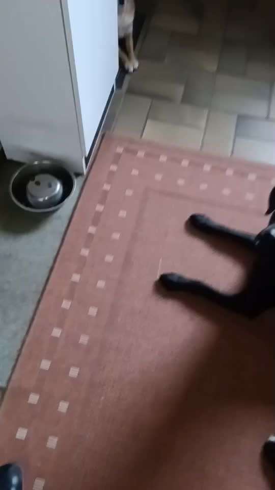 Video Challenge Nr. 4 - Lecker, Lecker-Beitrag-Bild