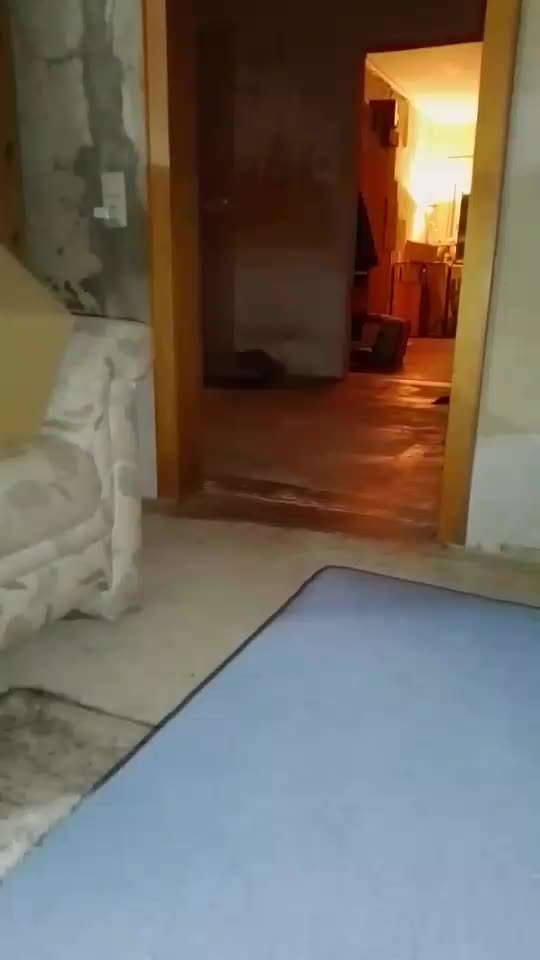 Fixateur extern - wie geht man damit um?-Beitrag-Bild