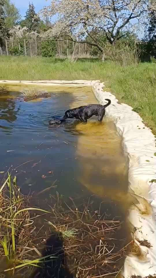 Schwimmweste / Rettungsweste - wann ja, wann nein?-Beitrag-Bild