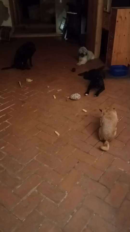 "MACH ES !"  statt  "LASS ES !"-Beitrag-Bild