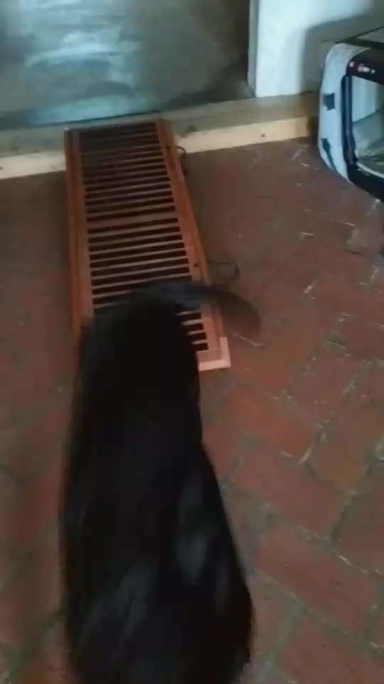 65. Gemeinsames Tricktraining: Rückwärts auf Gegenstand-Beitrag-Bild