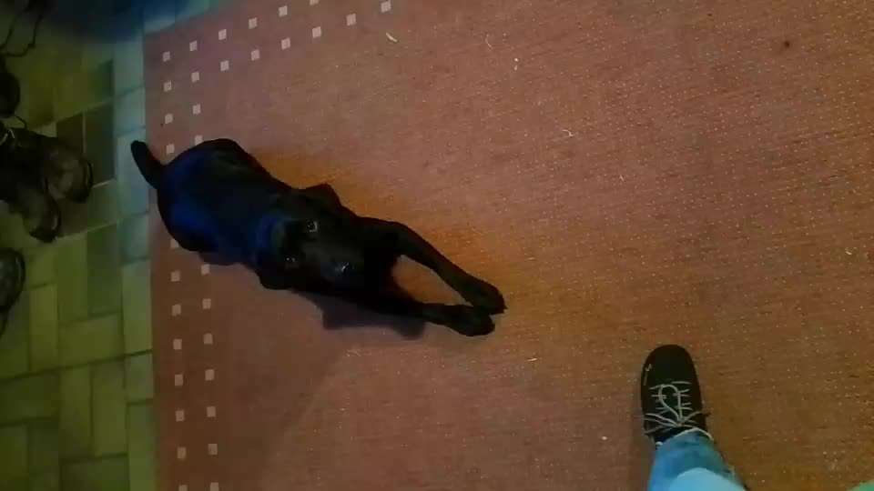 "Raumverwaltung", ein Mythos?!-Beitrag-Bild