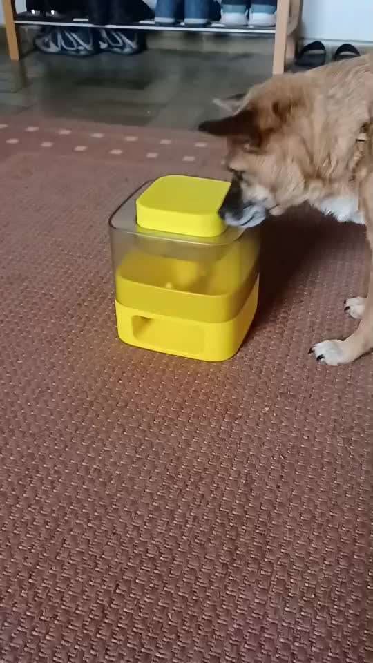 Video Challenge Nr. 4 - Lecker, Lecker-Beitrag-Bild