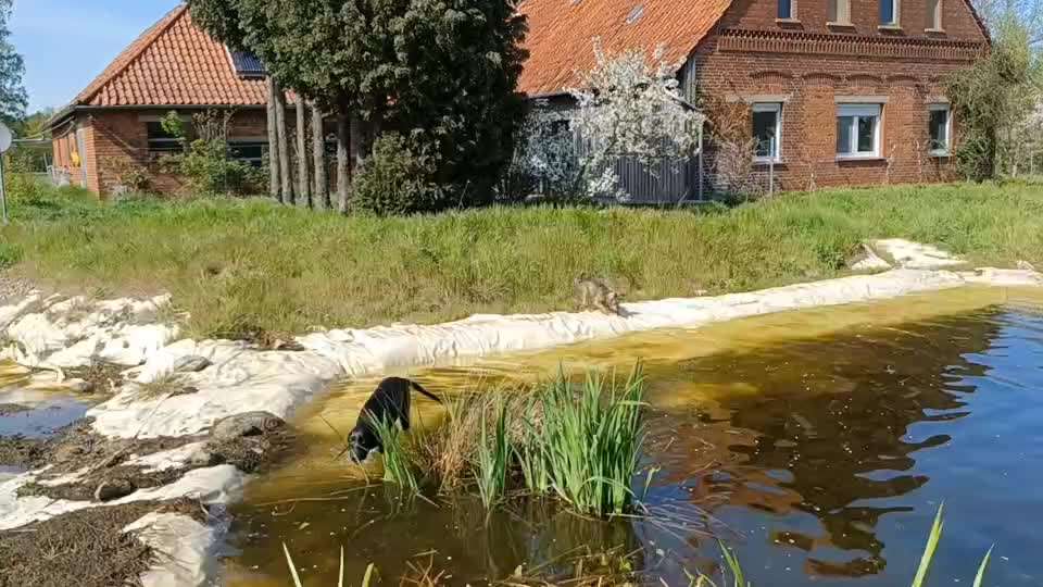 Schwimmweste / Rettungsweste - wann ja, wann nein?-Beitrag-Bild