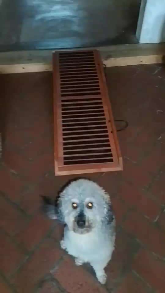 65. Gemeinsames Tricktraining: Rückwärts auf Gegenstand-Beitrag-Bild