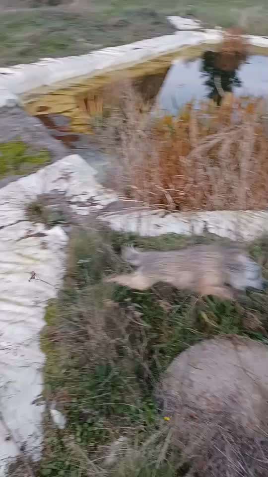 Abkühlung im Sommer-Beitrag-Bild