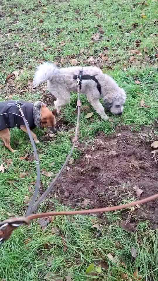 "Wege zur Freundschaft" (Ulli Reichmann)-Beitrag-Bild