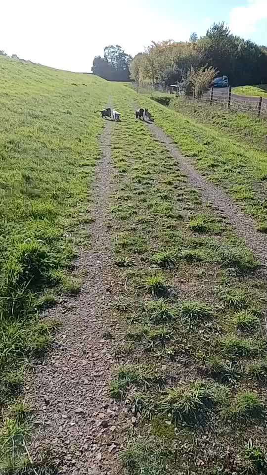 15. Video Challenge.  In SloMo die Welt erkunden!-Beitrag-Bild