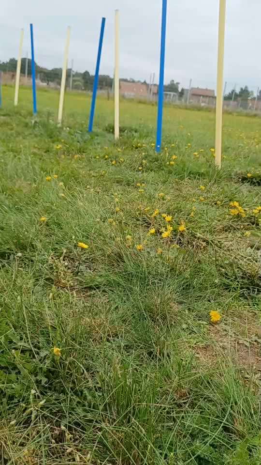 Fixateur extern - wie geht man damit um?-Beitrag-Bild