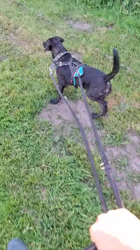 "Wege zur Freundschaft" (Ulli Reichmann)-Beitrag-Bild