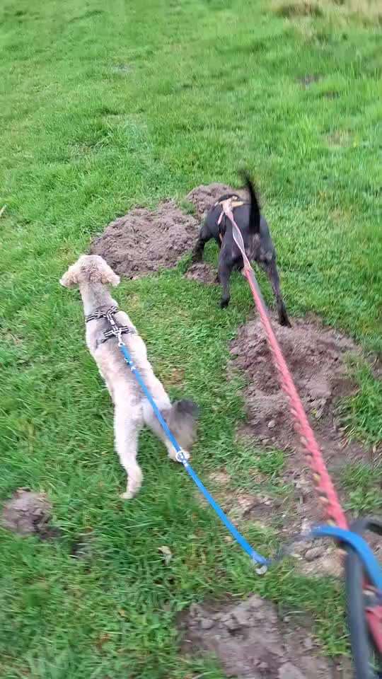 "Wege zur Freundschaft" (Ulli Reichmann)-Beitrag-Bild