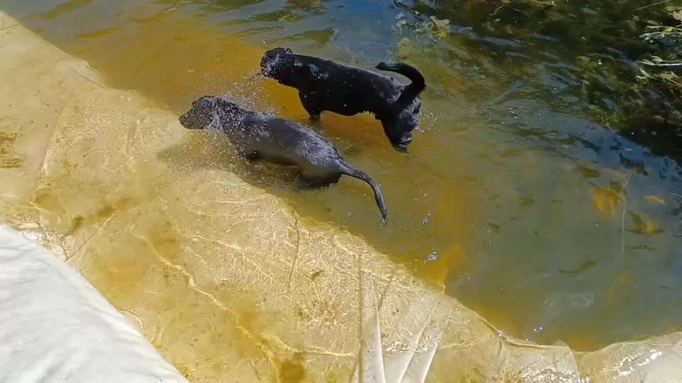 Abkühlung im Sommer-Beitrag-Bild