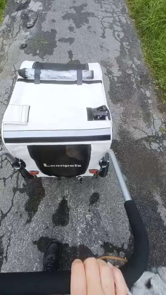 Fixateur extern - wie geht man damit um?-Beitrag-Bild