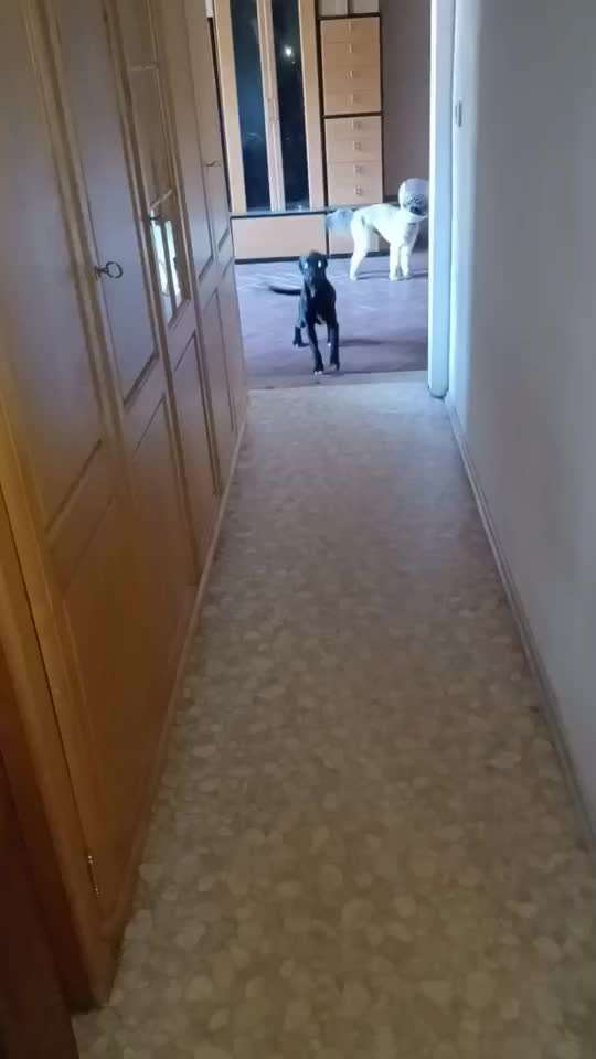 Ruhe ab 22 uhr-Beitrag-Bild