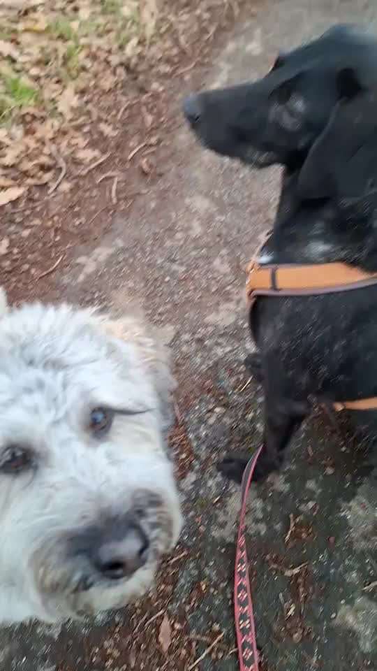 "Wege zur Freundschaft" (Ulli Reichmann)-Beitrag-Bild