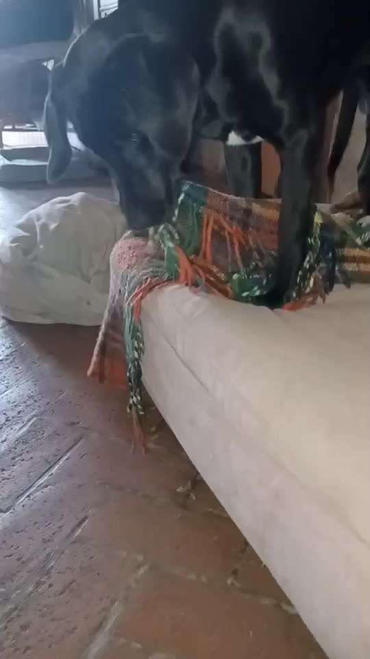 Buddeln auf dem Sofa-Beitrag-Bild