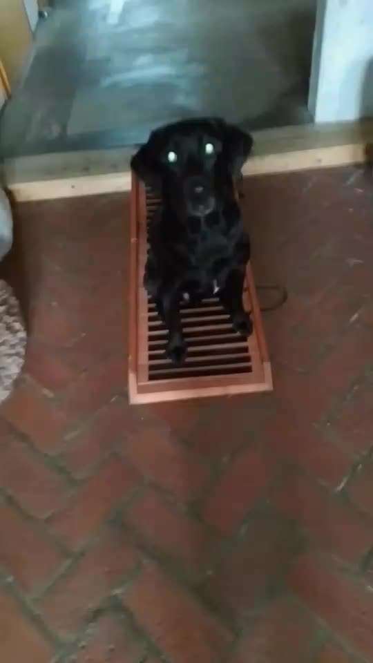 65. Gemeinsames Tricktraining: Rückwärts auf Gegenstand-Beitrag-Bild