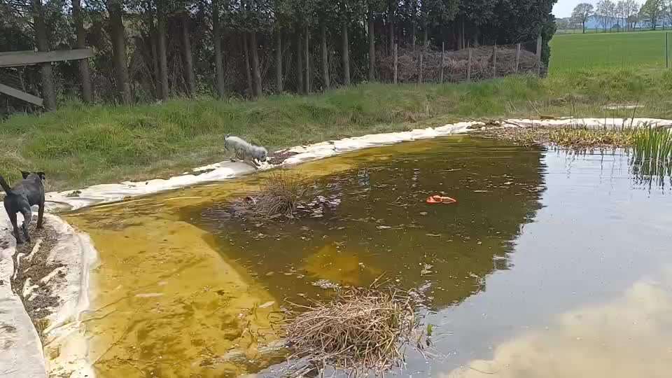 Schwimmweste / Rettungsweste - wann ja, wann nein?-Beitrag-Bild