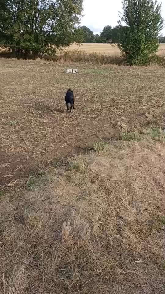 Dummy Training-Beitrag-Bild