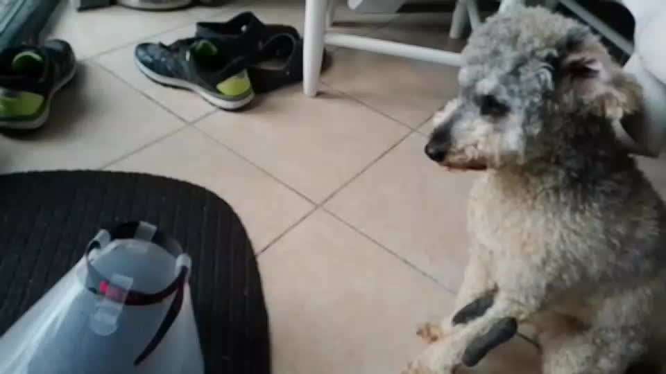 Fixateur extern - wie geht man damit um?-Beitrag-Bild