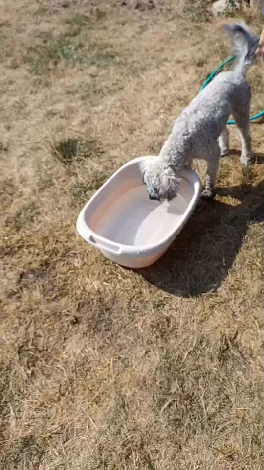 Abkühlung im Sommer-Beitrag-Bild