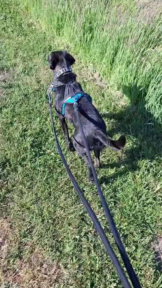 "Wege zur Freundschaft" (Ulli Reichmann)-Beitrag-Bild