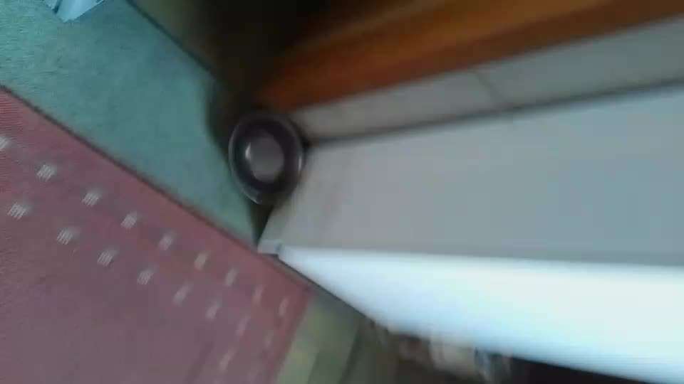 Spielzeug um vom Napf weg zu gehen?-Beitrag-Bild