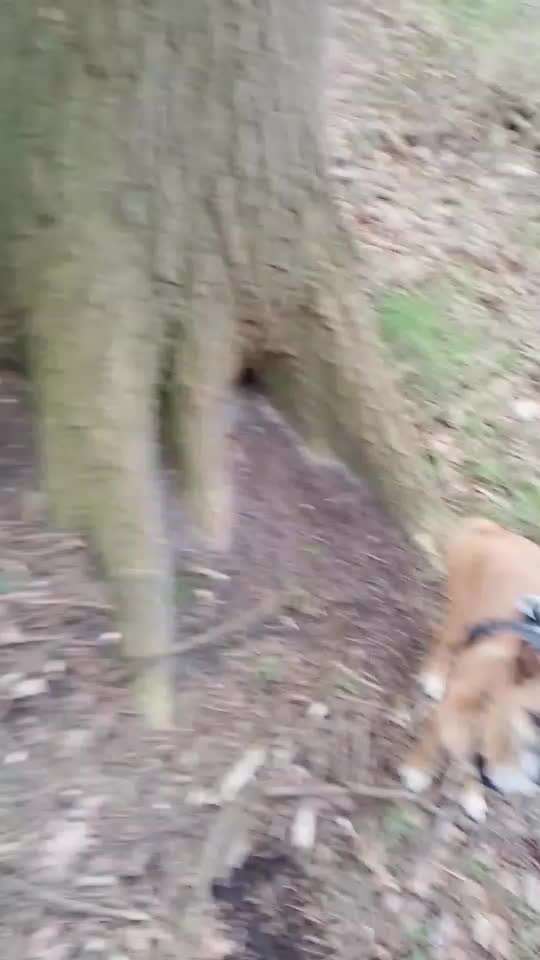 Wie sitzt mein Geschirr?-Beitrag-Bild