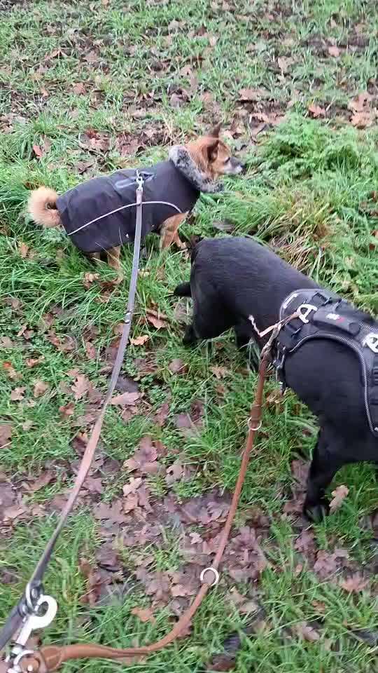 "Wege zur Freundschaft" (Ulli Reichmann)-Beitrag-Bild