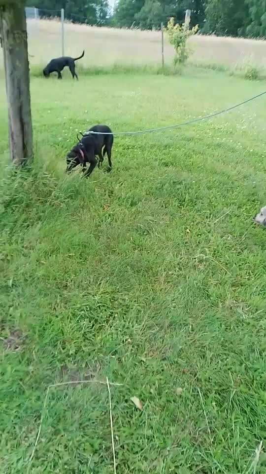 Wie sitzt mein Geschirr?-Beitrag-Bild