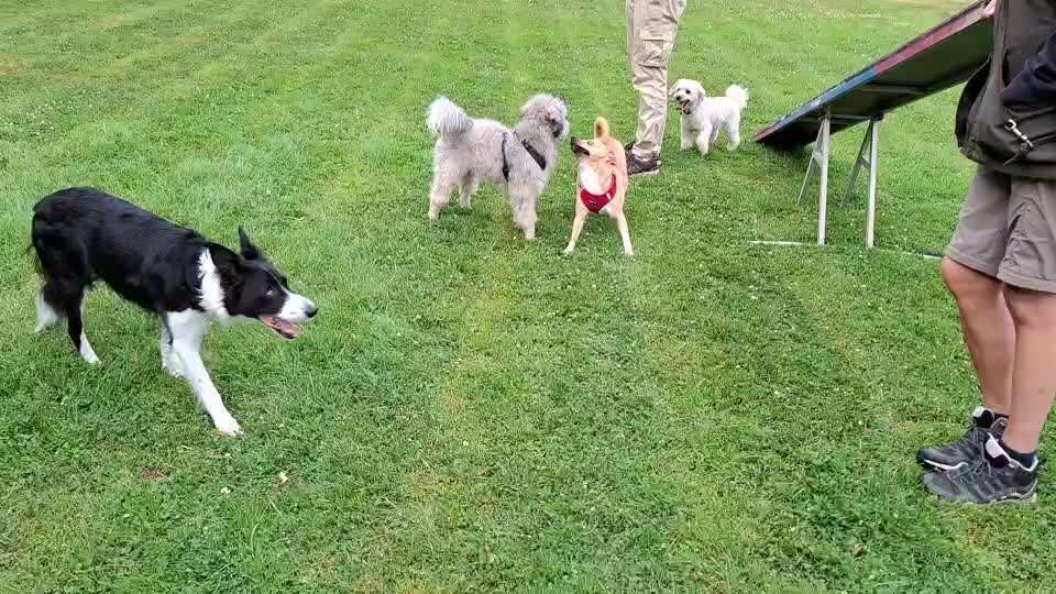 Angst vor Geräuschen Kurs Tipp-Beitrag-Bild