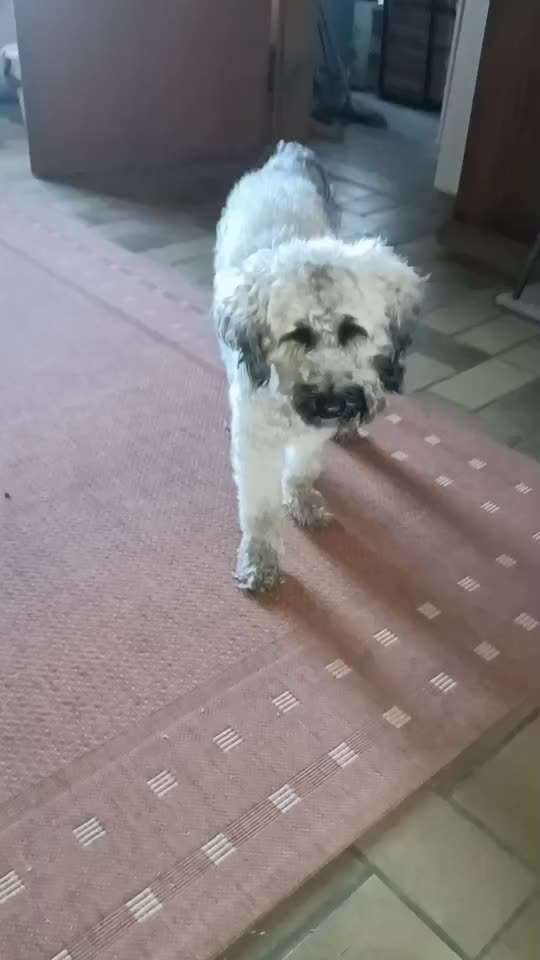 Video Challenge Nr. 4 - Lecker, Lecker-Beitrag-Bild